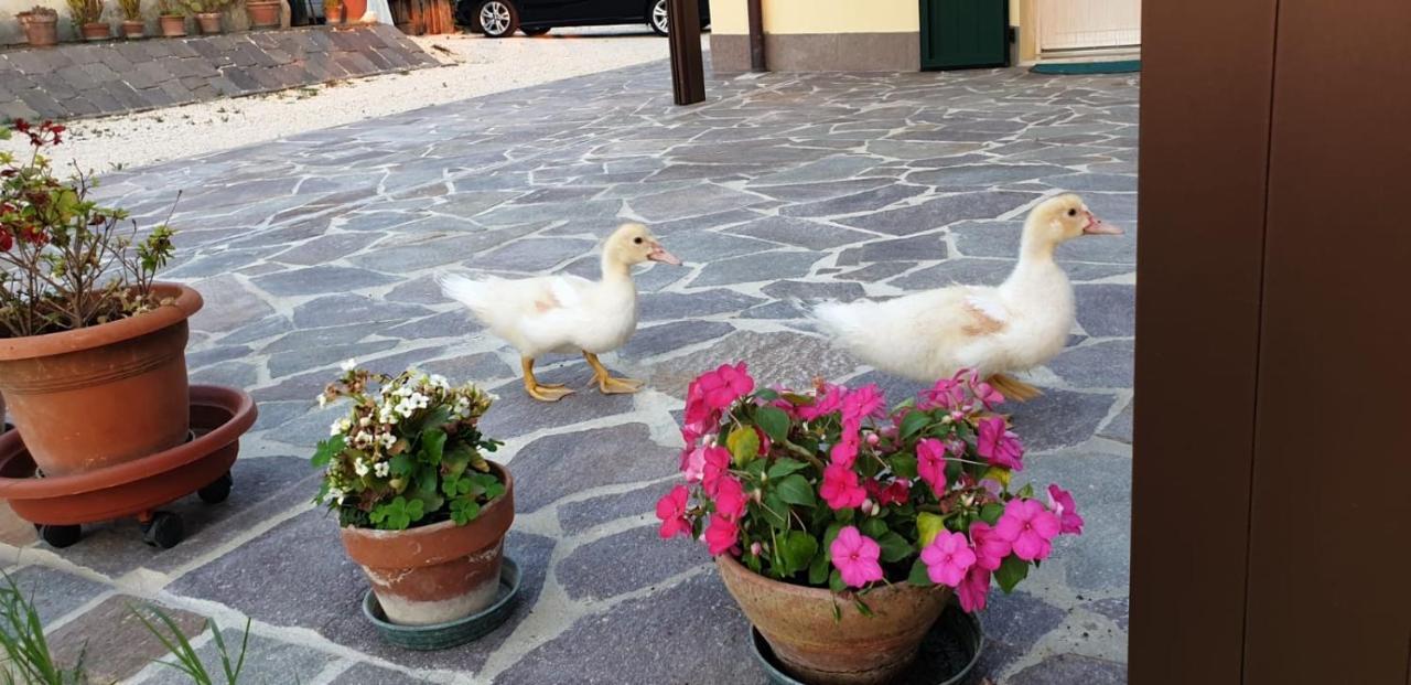 Borgo Tarapino Hotel Ferrara Eksteriør billede